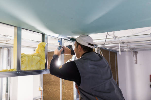 Types of Insulation We Offer in Mango, FL