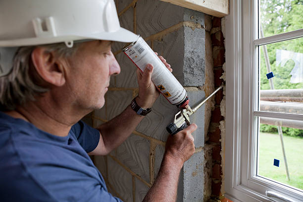 Best Specialized Insulation Services in Mango, FL