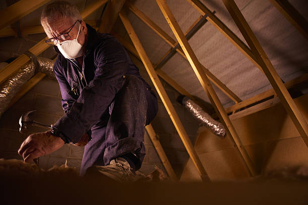 Best DIY Insulation Kits and Guidance in Mango, FL