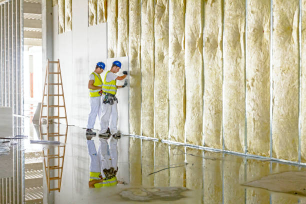 Best DIY Insulation Kits and Guidance in Mango, FL